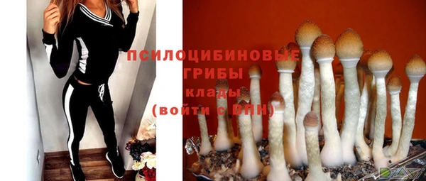соль ск Горняк