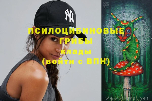 дмт Горнозаводск
