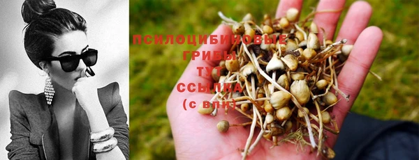 наркотики Вяземский